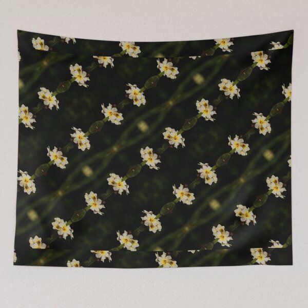 Item preview, Yellow Mexican Satin Flowers designed and sold by walkswithnature.