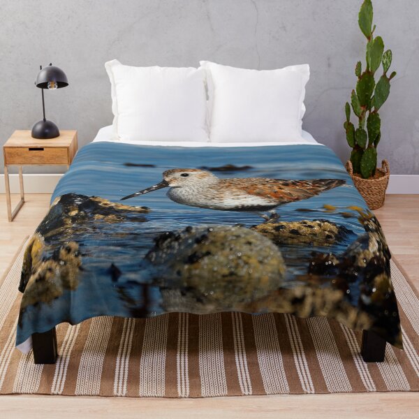 Item preview, A Solitary Dunlin at the Jetty designed and sold by walkswithnature.