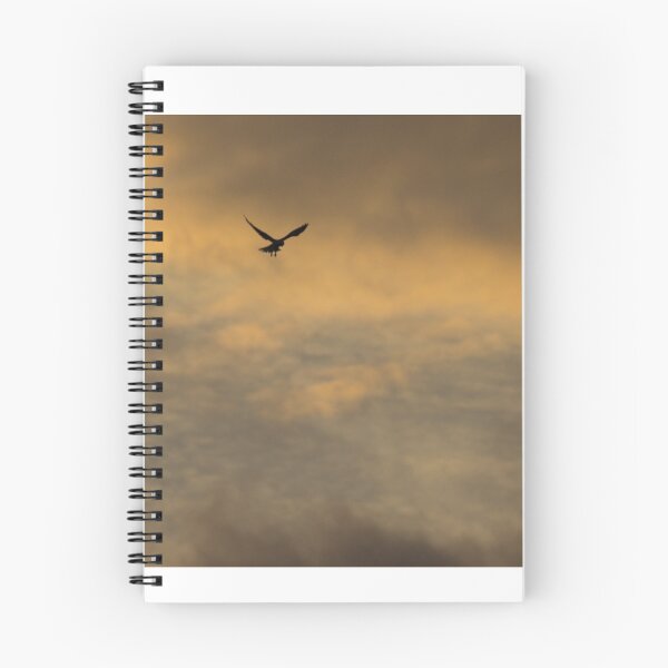 Item preview, Fly by Night designed and sold by Withns.