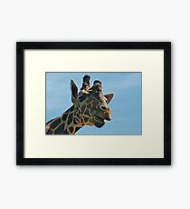 Giraffe SAYING Hello Framed Print