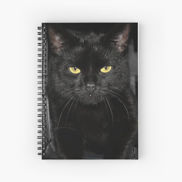 Item preview, Black cat designed and sold by Bianca Jayde.