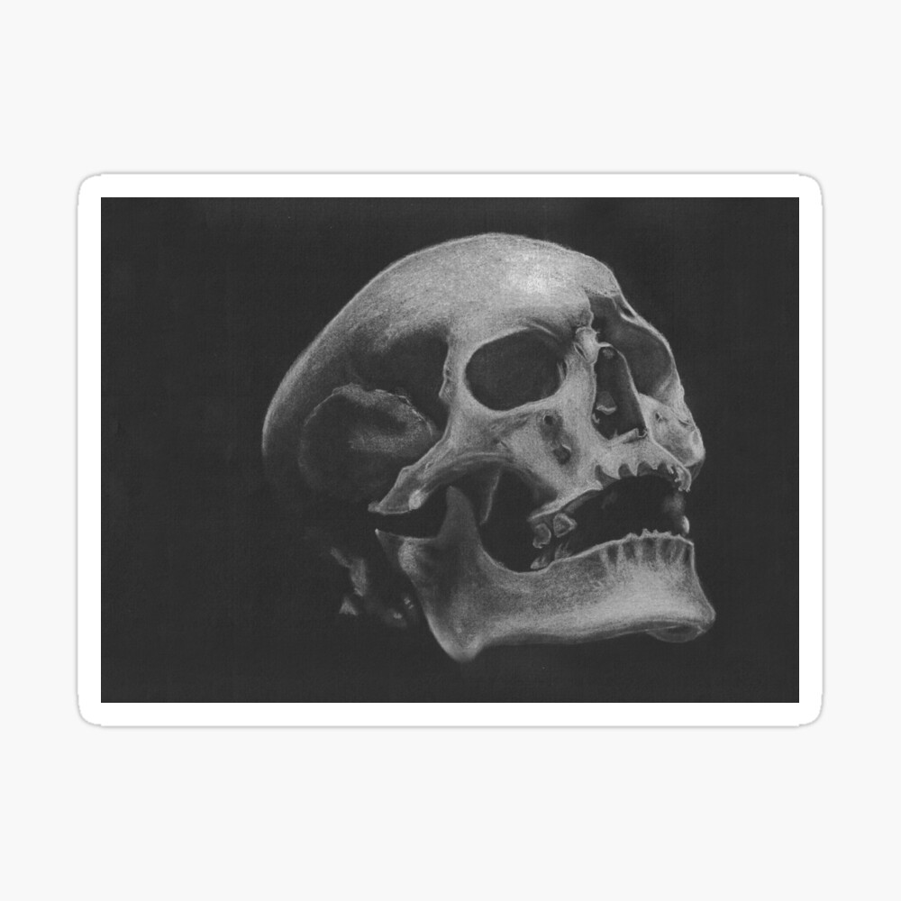 B&W Chalk Skull
