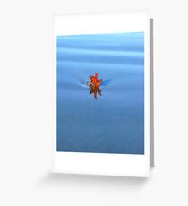 Solo... Greeting Card