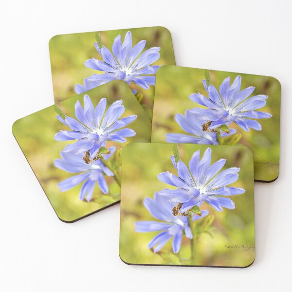 Item preview, Blue Chickory designed and sold by Yannik Hay.