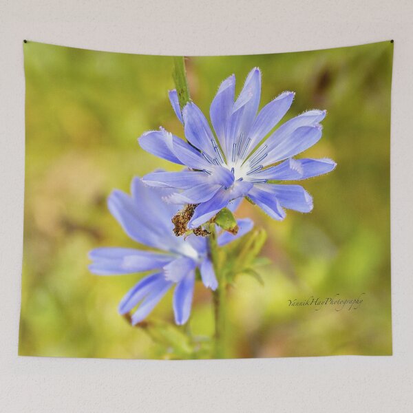 Item preview, Blue Chickory designed and sold by Yannik Hay.