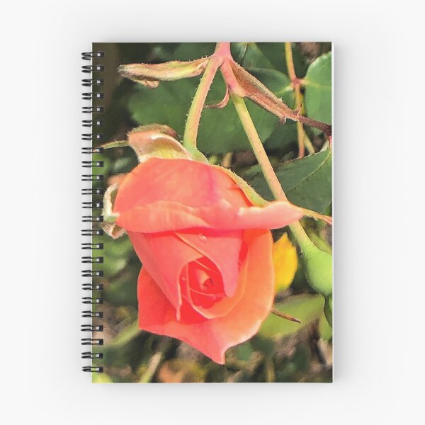 Item preview, Peach Rose bud designed and sold by JanineEK.