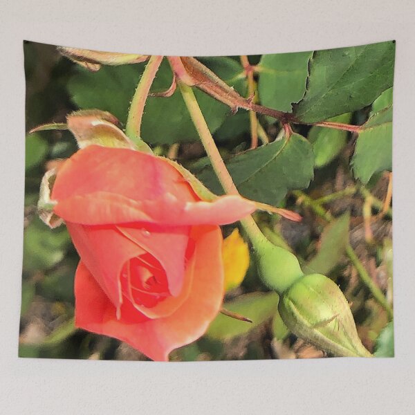 Item preview, Peach Rose bud designed and sold by JanineEK.
