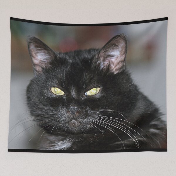 Item preview, Black cat with strange green eyes designed and sold by Astralia.