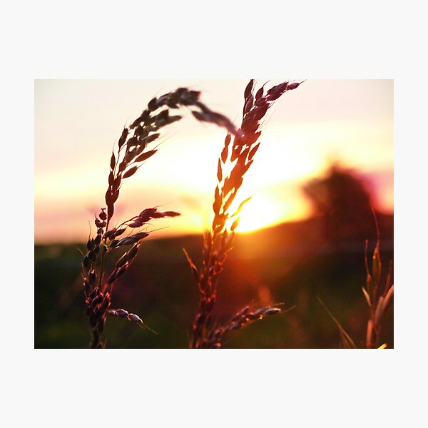 Paysage normand.
www.dendrah.com Impression photo