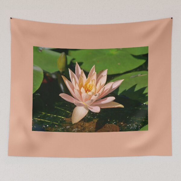 Item preview, Nymphaeaceae designed and sold by Lanis Rossi.