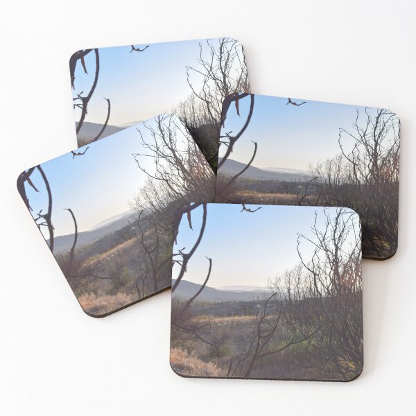 Item preview, San Bernardino National Forest, Idyllwild, California designed and sold by Mike Kunes.