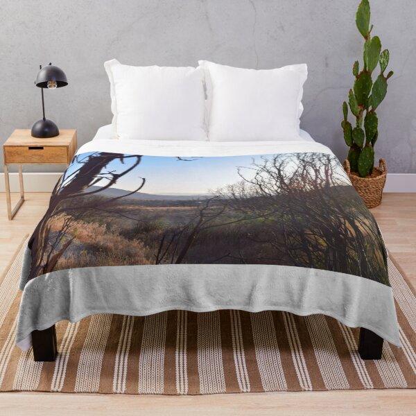 Item preview, San Bernardino National Forest, Idyllwild, California designed and sold by Mike Kunes.