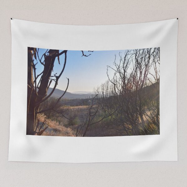 Item preview, San Bernardino National Forest, Idyllwild, California designed and sold by Mike Kunes.