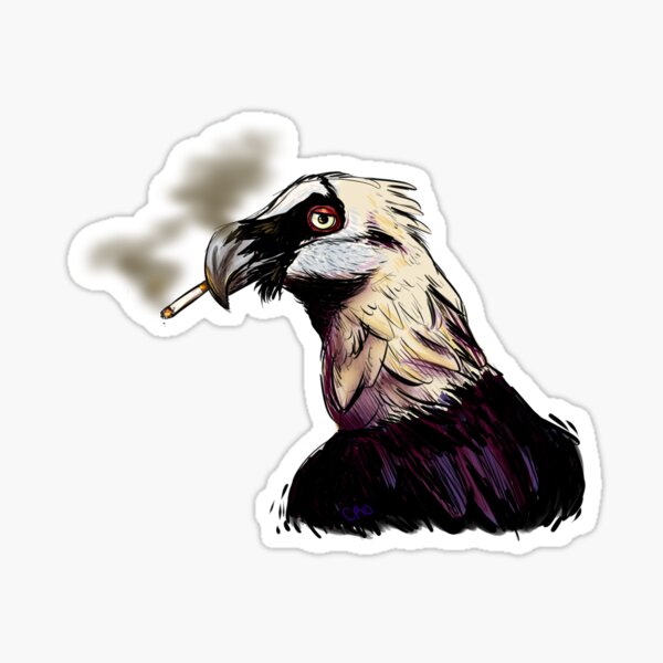 "Smoking Vulture" Sticker by BirdsWithShoes Redbubble