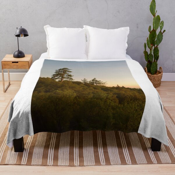 Item preview, San Bernardino National Forest, Idyllwild, California designed and sold by Mike Kunes.