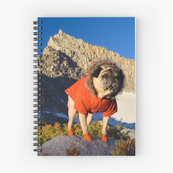 Item preview, View Finding Mountain Pug designed and sold by pugventurephoto.