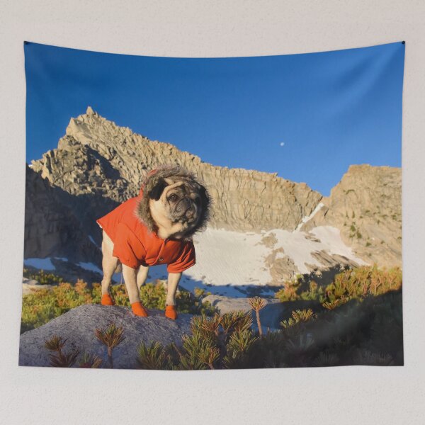 Item preview, View Finding Mountain Pug designed and sold by pugventurephoto.