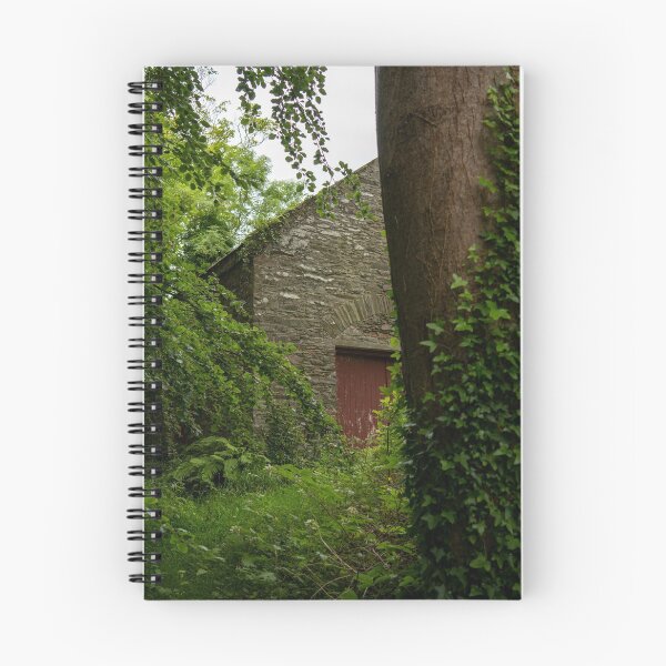 Item preview, Abandoned Boat shed at Old Castle Ward, Northern Ireland designed and sold by Sarah McPherson.