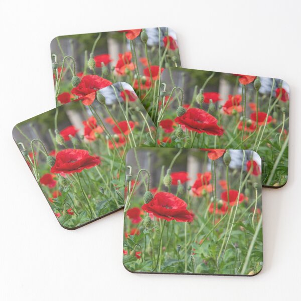 Item preview, Field of Poppies overlooking Albert Memorial Church, Belfast, Northern Ireland designed and sold by Sarah McPherson.