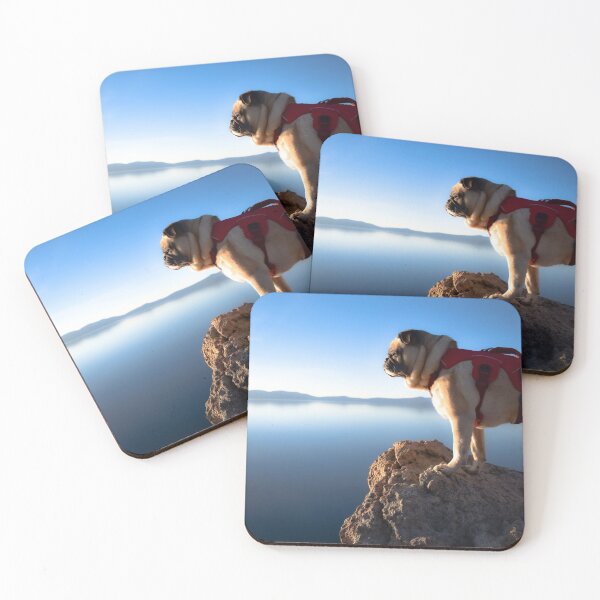 Item preview, Pug Wonders Which Way Is Up designed and sold by pugventurephoto.