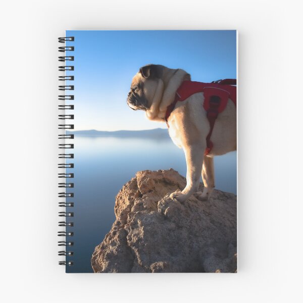 Item preview, Pug Wonders Which Way Is Up designed and sold by pugventurephoto.