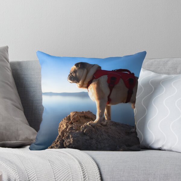 Item preview, Pug Wonders Which Way Is Up designed and sold by pugventurephoto.