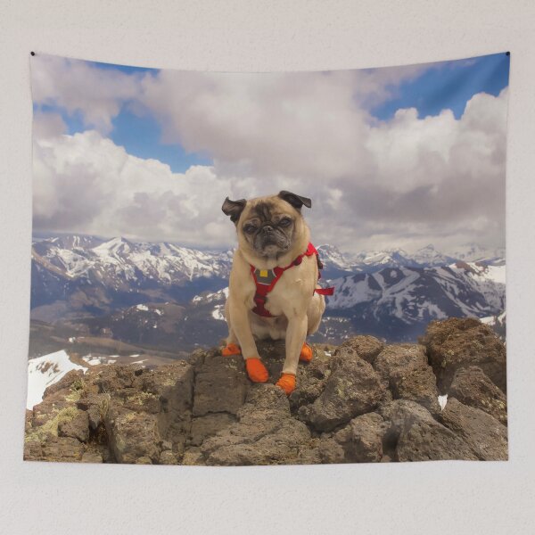 Item preview, Summit Success for Super Squishface Pug designed and sold by pugventurephoto.