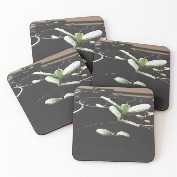 Item preview, Calming plants designed and sold by GloomDays.