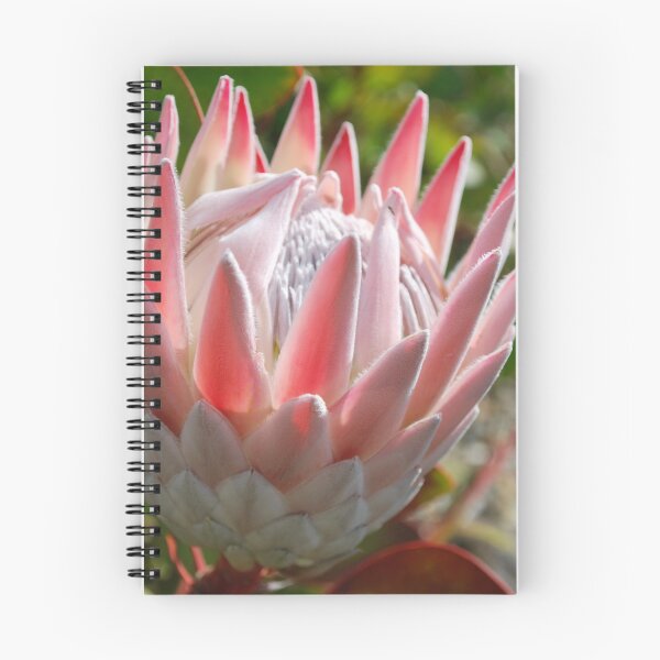 Item preview, Protea designed and sold by Julie Sherlock.