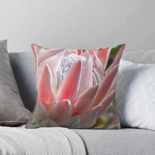 Item preview, Protea designed and sold by Julie Sherlock.