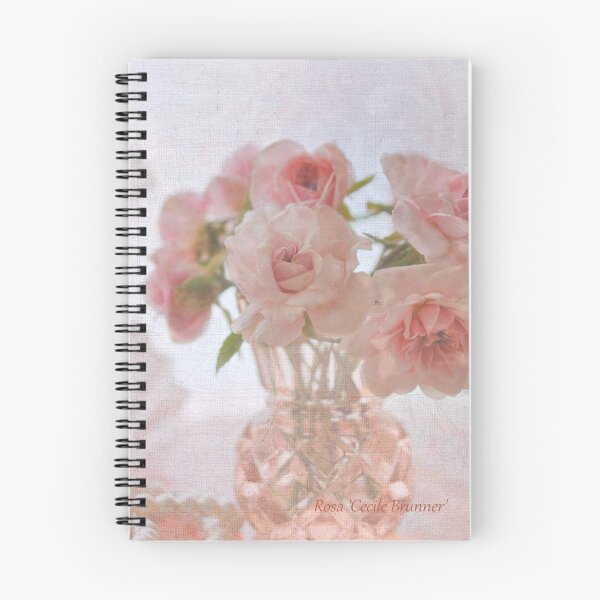 Item preview, Rosa 'Cecile Brunner' designed and sold by Julie Sherlock.