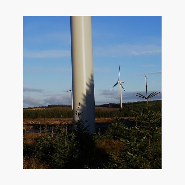 Item preview, Tree Shadow designed and sold by ElsT.