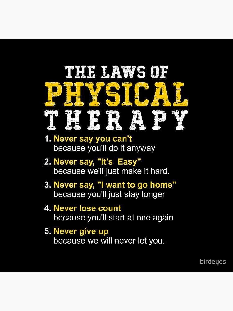 "The Laws Of Physical Therapy " Coasters (Set of 4) by birdeyes | Redbubble