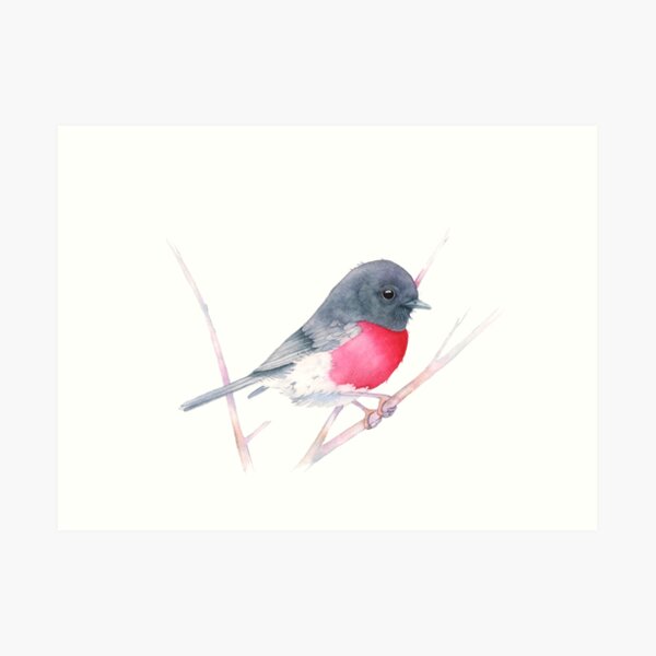 Rose Robin Art Print