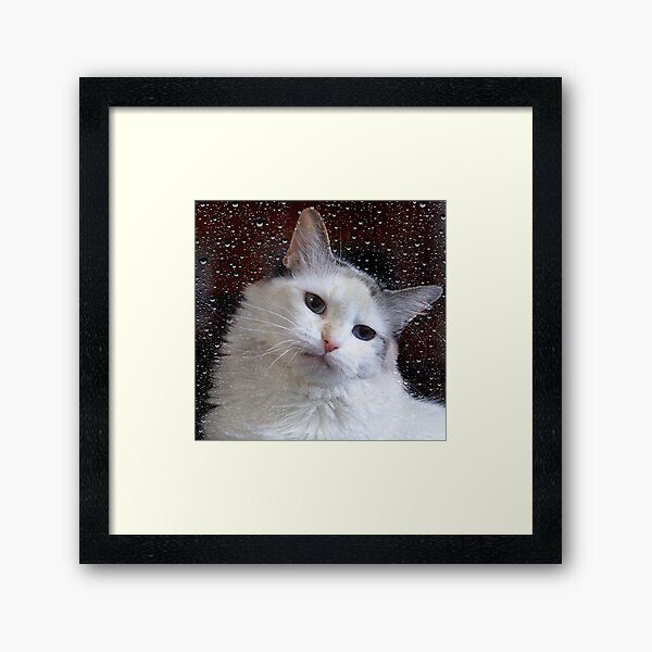 Rainy Days Framed Art Print