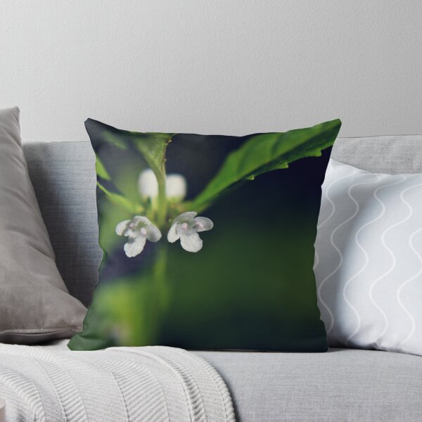 Item preview, Virginia Water-horehound designed and sold by Kathleen Daley.