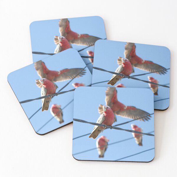 Item preview, Outback Galahs  designed and sold by MargsNaturePix.
