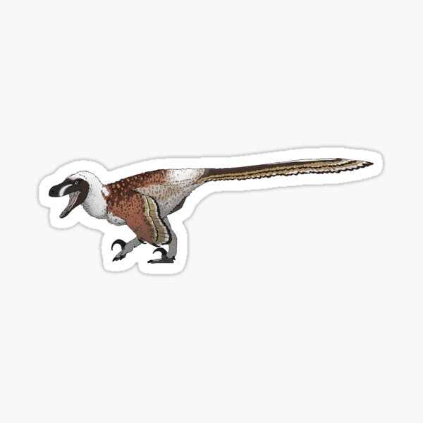 Acheroraptor (No Background) Sticker
