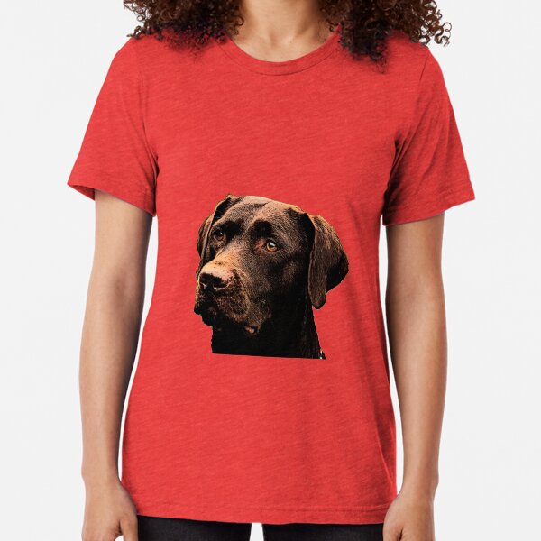 Chocolate Lab Tri-blend T-Shirt