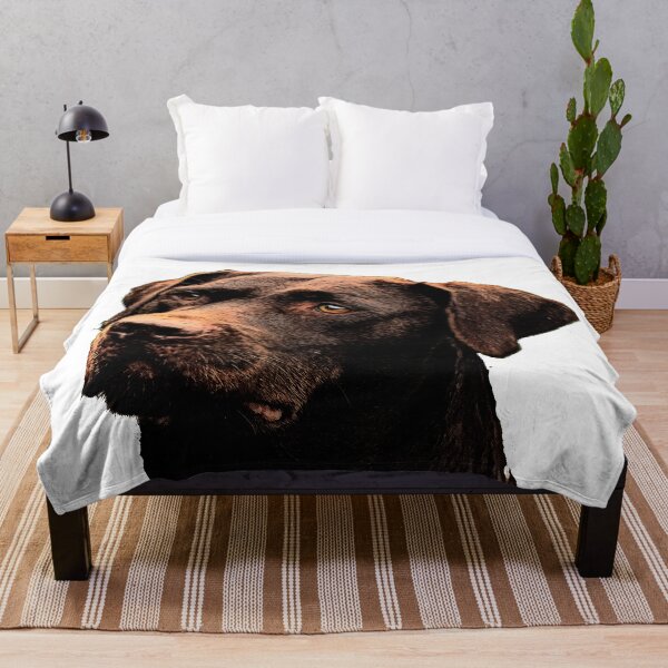Chocolate Lab Throw Blanket