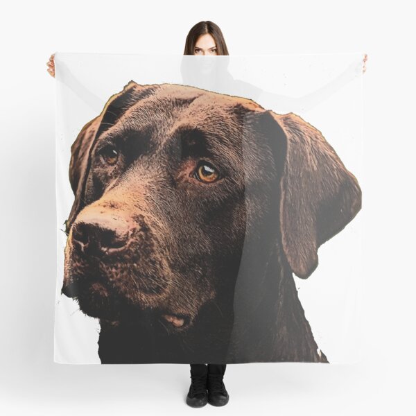 Chocolate Lab Scarf