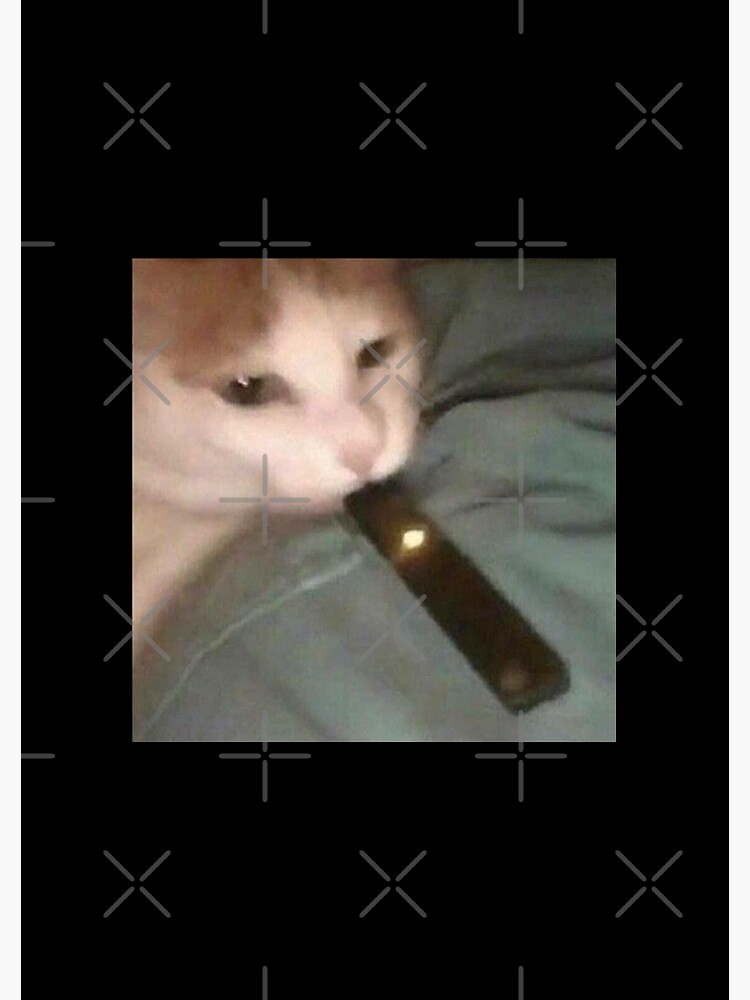cat hitting a fat vape