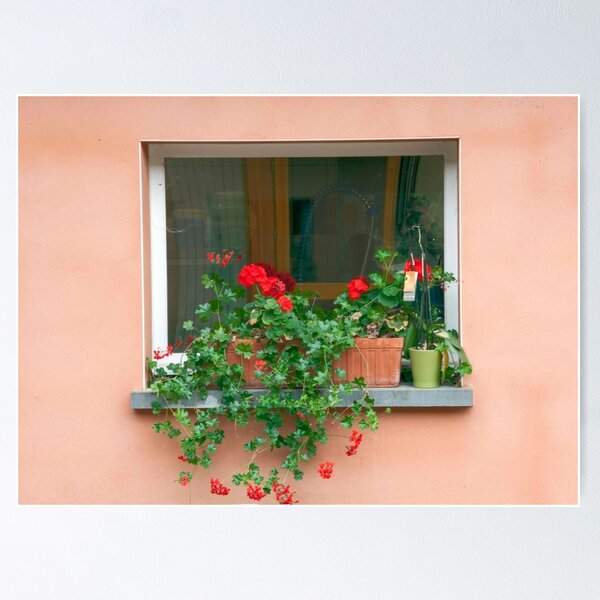 Aperçu de l'œuvre Window Flower Garden créée et vendue par phil decocco.