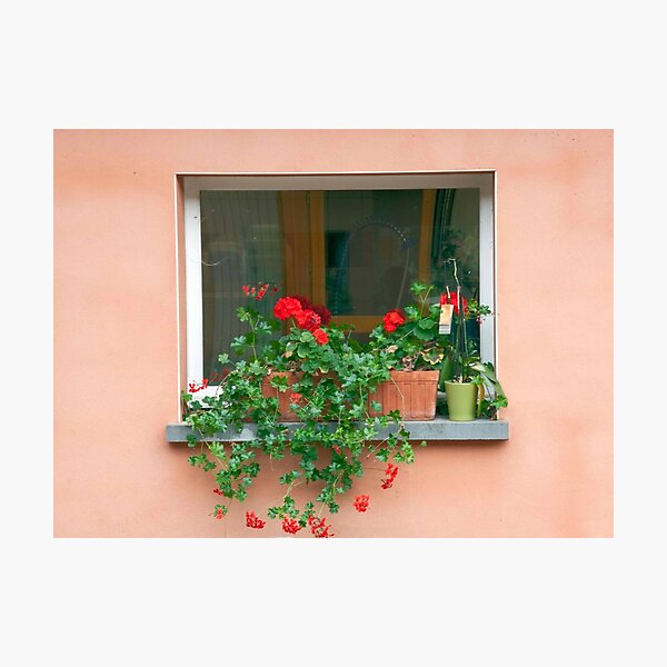 Artikelvorschau, Fenster Blumengarten entworfen und verkauft von phil decocco.