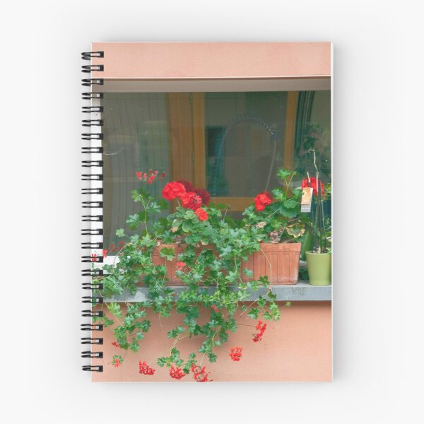 Aperçu de l'œuvre Window Flower Garden créée et vendue par phil decocco.