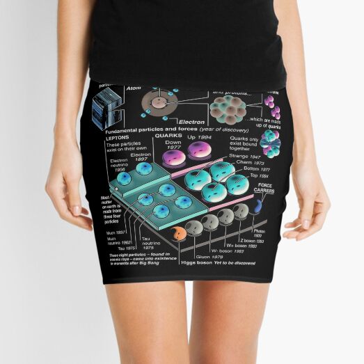 Physics Standard Model Theory  Mini Skirt