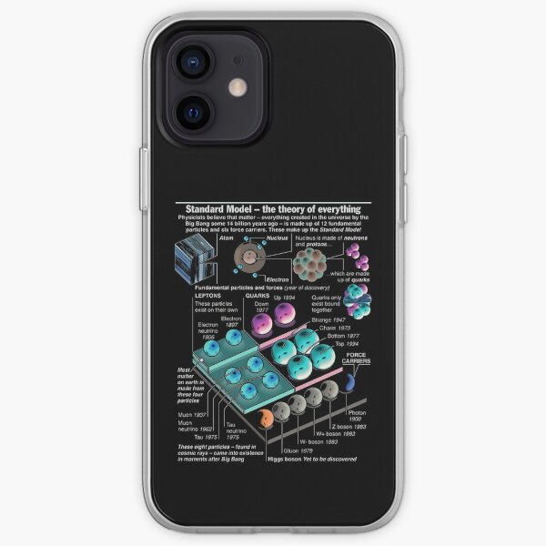 Physics Standard Model Theory  iPhone Soft Case