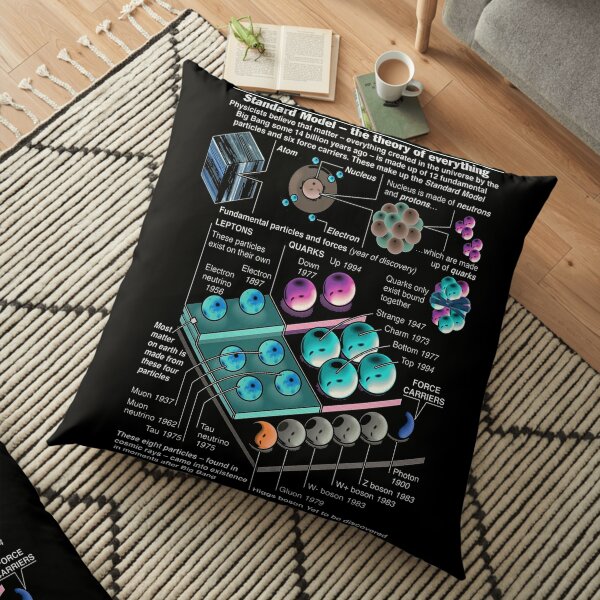 Physics Standard Model Theory  Floor Pillow