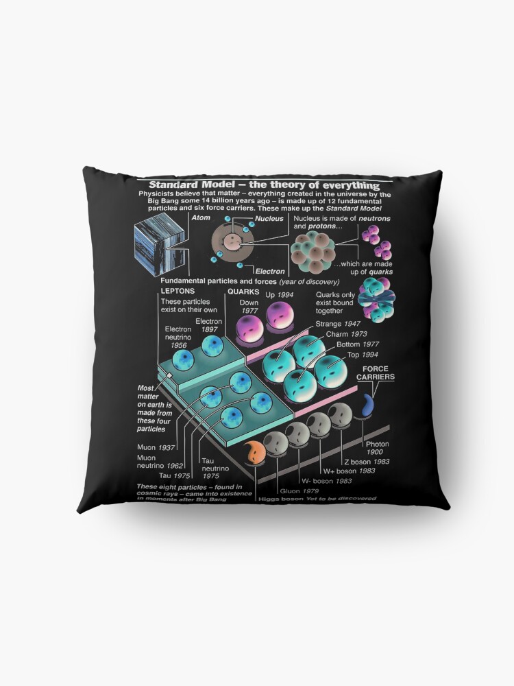 Alternate view of Physics Standard Model Theory Floor Pillow