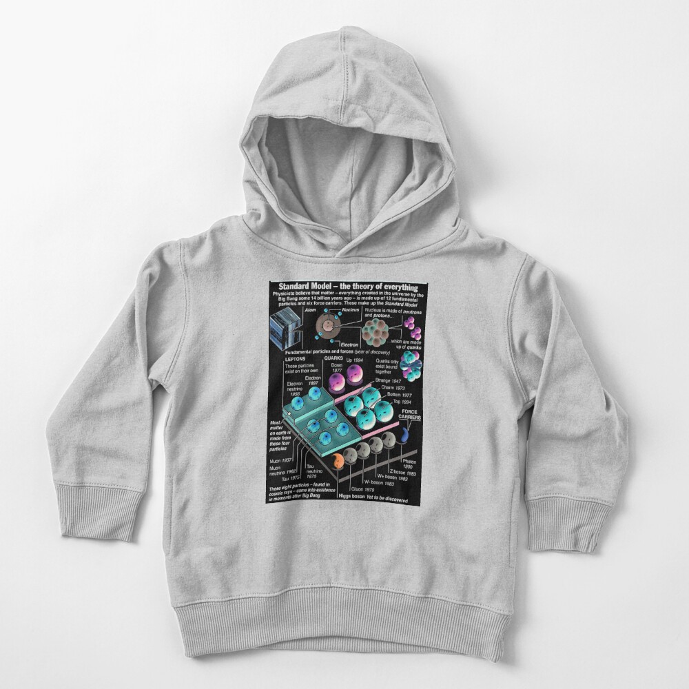ssrco,toddler_hoodie,youth,heather_grey,flatlay_front,square,1000x1000-bg,f8f8f8
